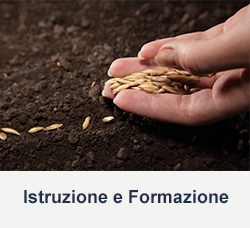 istruzione e formazione