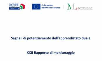 Oltre il XXII rapporto Inapp-Inps (e ritorno): quale relazione tra apprendistato e inclusione lavorativa delle persone con disabilità?