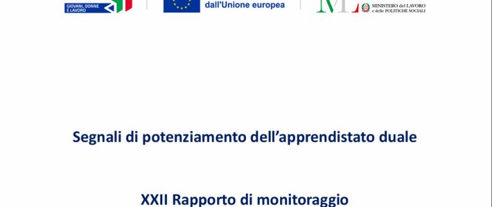 Oltre il XXII rapporto Inapp-Inps (e ritorno): quale relazione tra apprendistato e inclusione lavorativa delle persone con disabilità?